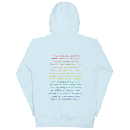 Gavin Scott U.S. CONSTITUTION 14th AMENDMENT SECTION 3 Genderless Hoodie
