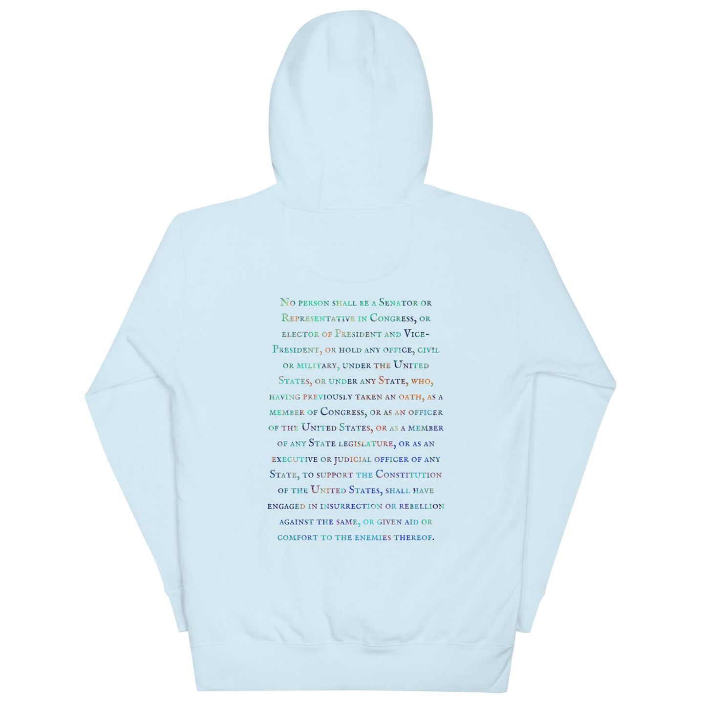 Gavin Scott U.S. CONSTITUTION 14th AMENDMENT SECTION 3 Genderless Hoodie