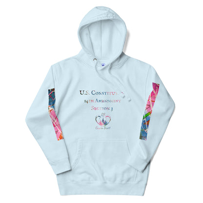 Gavin Scott U.S. CONSTITUTION 14th AMENDMENT SECTION 3 Premium Genderless Hoodie