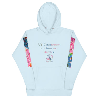 Gavin Scott U.S. CONSTITUTION 14th AMENDMENT SECTION 3 Premium Genderless Hoodie