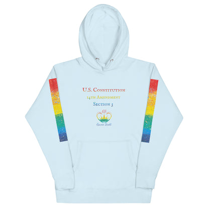 Gavin Scott U.S. CONSTITUTION 14th AMENDMENT SECTION 3 Genderless Hoodie