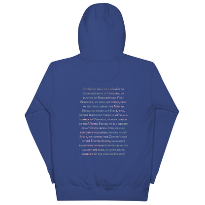 Gavin Scott U.S. CONSTITUTION 14th AMENDMENT SECTION 3 Premium Genderless Hoodie