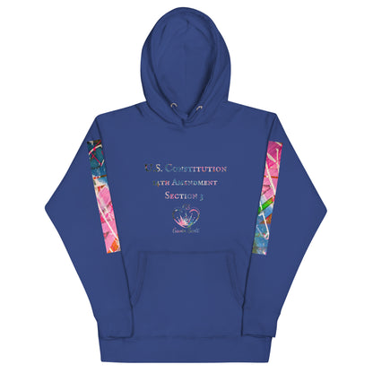 Gavin Scott U.S. CONSTITUTION 14th AMENDMENT SECTION 3 Premium Genderless Hoodie