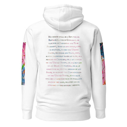 Gavin Scott U.S. CONSTITUTION 14th AMENDMENT SECTION 3 Premium Genderless Hoodie