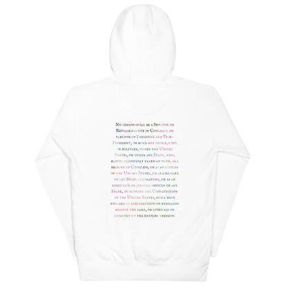 Gavin Scott U.S. CONSTITUTION 14th AMENDMENT SECTION 3 Premium Genderless Hoodie