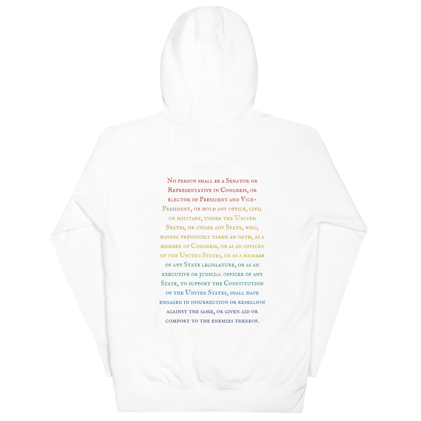 Gavin Scott U.S. CONSTITUTION 14th AMENDMENT SECTION 3 Genderless Hoodie