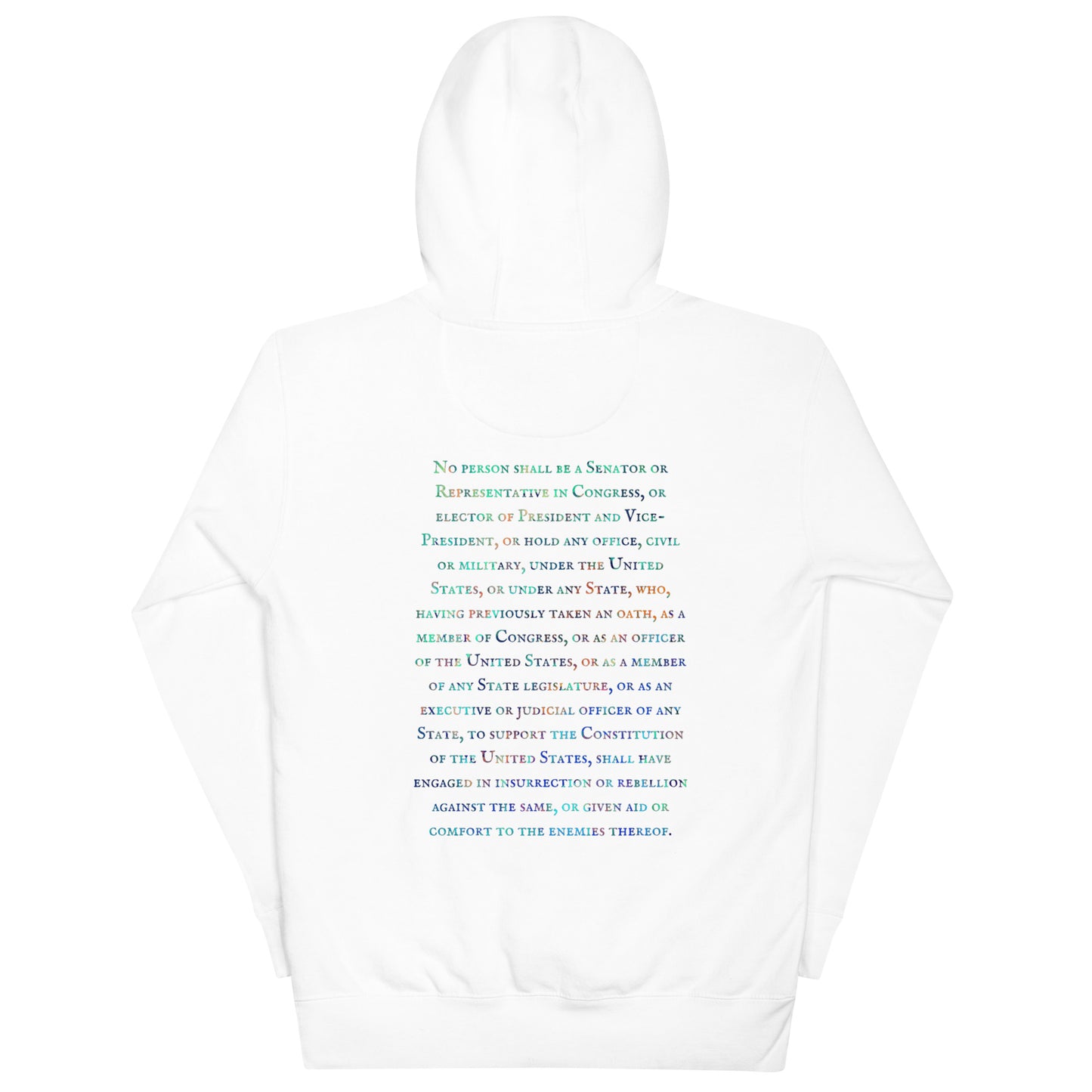 Gavin Scott U.S. CONSTITUTION 14th AMENDMENT SECTION 3 Genderless Hoodie