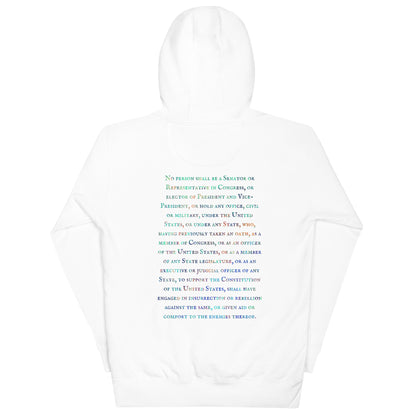 Gavin Scott U.S. CONSTITUTION 14th AMENDMENT SECTION 3 Genderless Hoodie