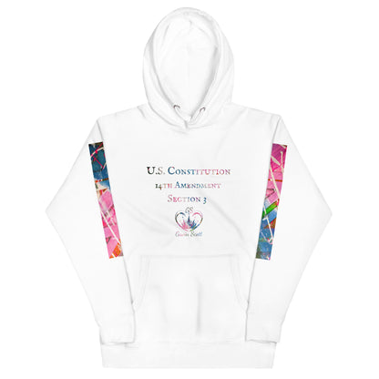 Gavin Scott U.S. CONSTITUTION 14th AMENDMENT SECTION 3 Premium Genderless Hoodie
