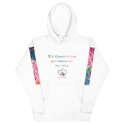 Gavin Scott U.S. CONSTITUTION 14th AMENDMENT SECTION 3 Premium Genderless Hoodie