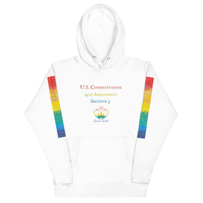 Gavin Scott U.S. CONSTITUTION 14th AMENDMENT SECTION 3 Genderless Hoodie