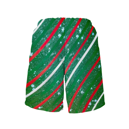 Gavin Scott Quick Drying Swim Trunks / Beach Shorts (Masc S-2XL)