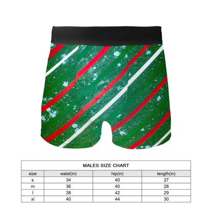 Gavin Scott Boxer Briefs (Masc S-XL)