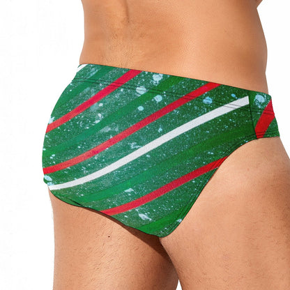 Gavin Scott Swimming Briefs (Masc S-3XL)