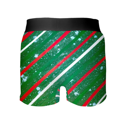 Gavin Scott Boxer Briefs (Masc S-XL)
