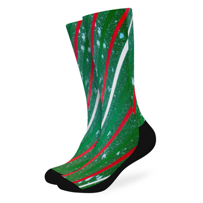 Gavin Scott Multi Size Mid-Calf Cotton Socks (Genderless S-XL)
