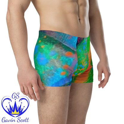 Gavin Scott Boxer Briefs (Masc XS-3XL)