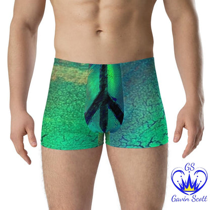 Gavin Scott Boxer Briefs (Masc XS-3XL)