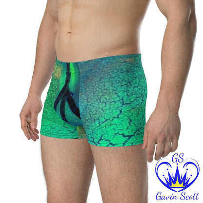 Gavin Scott Boxer Briefs (Masc XS-3XL)