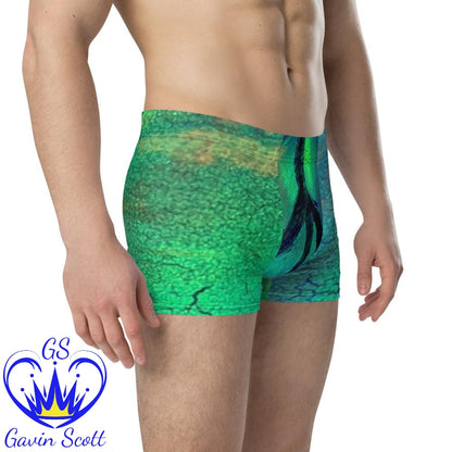 Gavin Scott Boxer Briefs (Masc XS-3XL)
