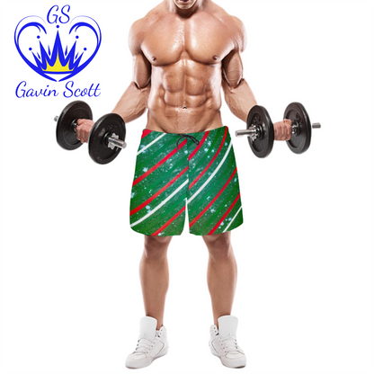 Gavin Scott Quick Drying Swim Trunks / Beach Shorts (Masc S-2XL)