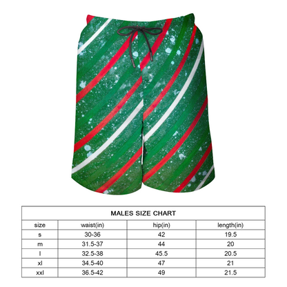 Gavin Scott Quick Drying Swim Trunks / Beach Shorts (Masc S-2XL)