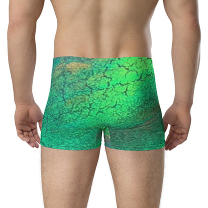 Gavin Scott Boxer Briefs (Masc XS-3XL)
