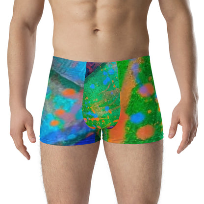 Gavin Scott Boxer Briefs (Masc XS-3XL)