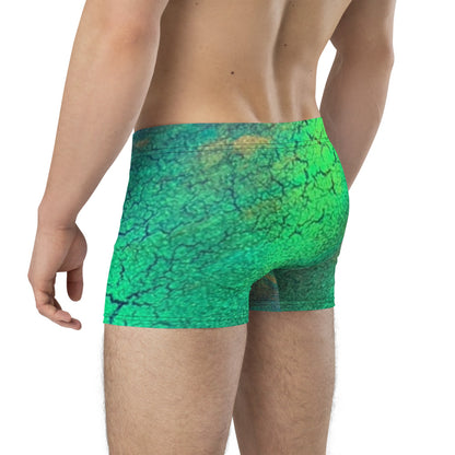 Gavin Scott Boxer Briefs (Masc XS-3XL)