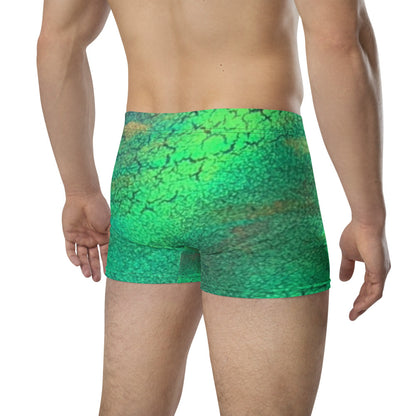 Gavin Scott Boxer Briefs (Masc XS-3XL)