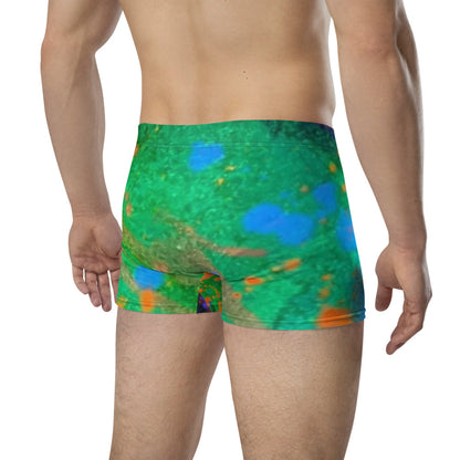 Gavin Scott Boxer Briefs (Masc XS-3XL)