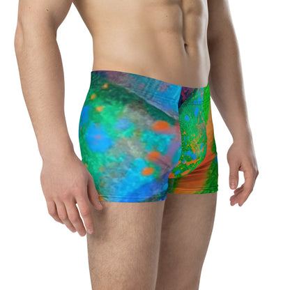 Gavin Scott Boxer Briefs (Masc XS-3XL)
