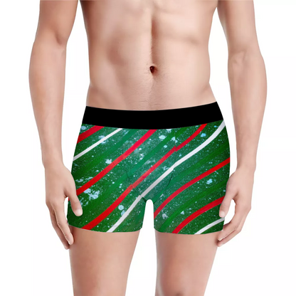 Gavin Scott Boxer Briefs (Masc S-XL)