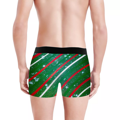Gavin Scott Boxer Briefs (Masc S-XL)